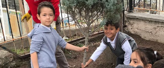 Batı Anadolu Elementary Forestation study